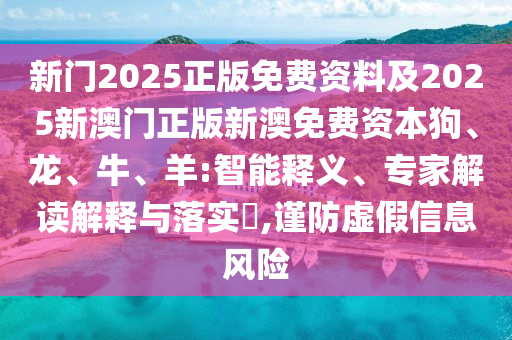 德国世界杯，探寻足球盛宴背后的故事