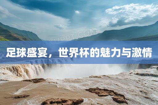 足球盛宴，世界杯的魅力与激情沧州禾苗留学中介服务有限公司