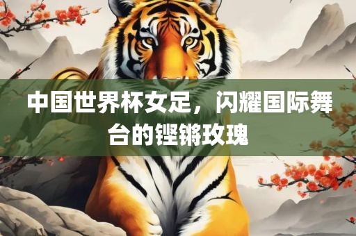 中国世界杯女足，闪耀国际舞台的铿锵玫瑰沧州禾苗留学中介服务有限公司