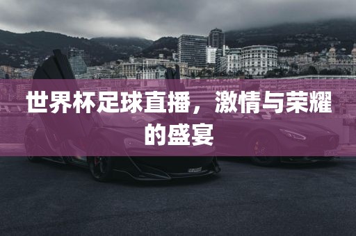 世界杯足球直播，激情与荣耀的盛宴沧州禾苗留学中介服务有限公司