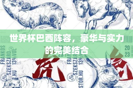 世界杯巴西阵容，豪华与实力的完美结合沧州禾苗留学中介服务有限公司