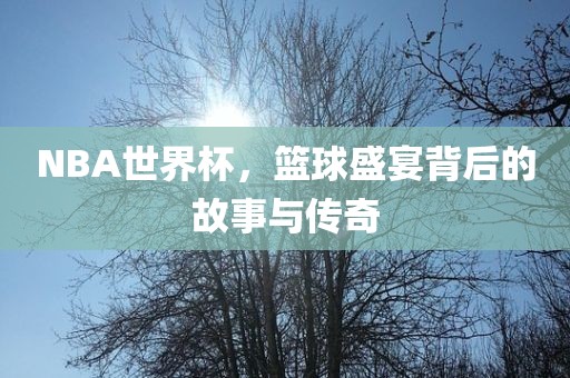 NBA世界杯，篮球盛宴背后的故事与传奇沧州禾苗留学中介服务有限公司