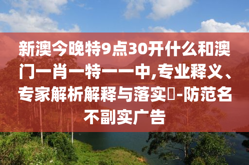 世界杯啦啦队，激情、活力与色彩的盛宴