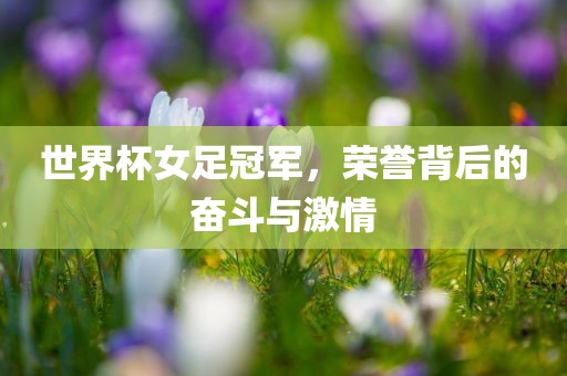 世界杯女足冠军，荣誉背后的奋斗与激情