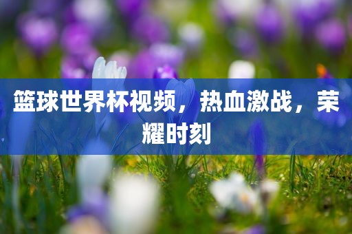 篮球世界杯视频