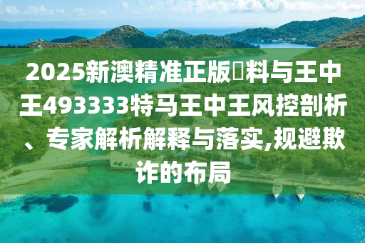 罗本世界杯之旅，速度与激情的闪耀时刻