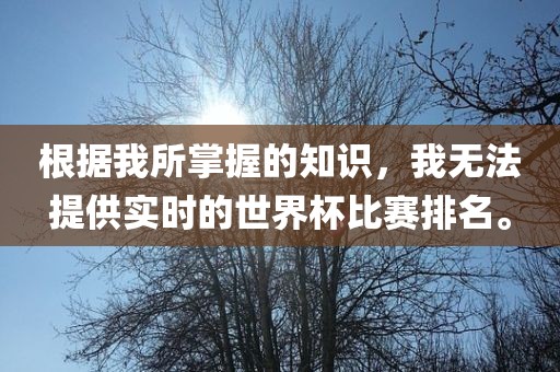 根据我所掌握的知识，我无法提供实时的世界杯比赛排名。