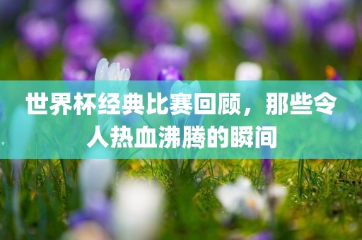 世界杯经典比赛回顾，那些令人热血沸腾的瞬间沧州禾苗留学中介服务有限公司