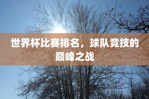 taohe 第7页