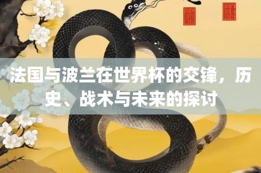 法国与波兰在世界杯的交锋，历史、战术与未来的探讨沧州禾苗留学中介服务有限公司