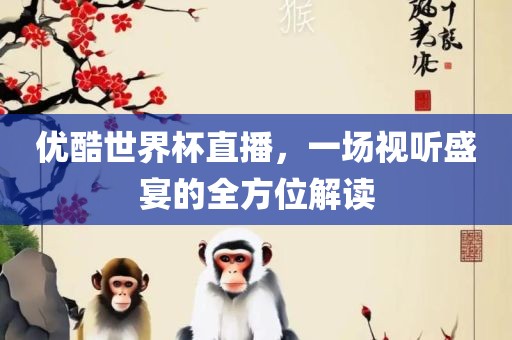 优酷世界杯沧州禾苗留学中介服务有限公司直播，一场视听盛宴的全方位解读