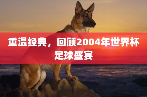 重温经典，回顾2004年世界杯足球盛宴沧州禾苗留学中介服务有限公司