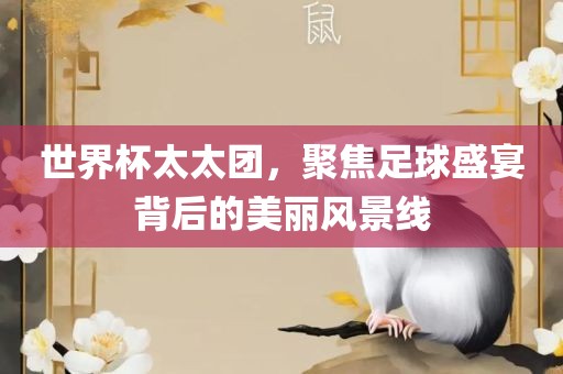 世界杯太太团，聚焦足球盛宴背后的美丽风景线