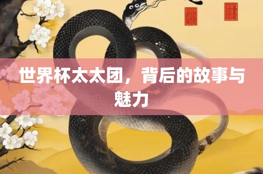 世界杯太太团，背后的故事与魅力