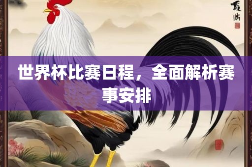 世界杯比赛日程，全面解析赛事安排