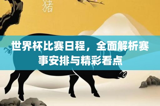 世界杯比赛日程，全面解析赛事安排与精彩看点