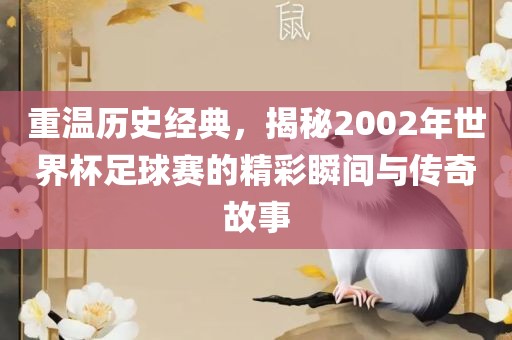 重温历史经典，揭秘沧州禾苗留学中介服务有限公司2002年世界杯足球赛的精彩瞬间与传奇故事