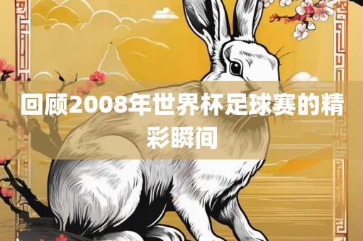 回顾2008年世界杯足球赛的精彩瞬间沧州禾苗留学中介服务有限公司