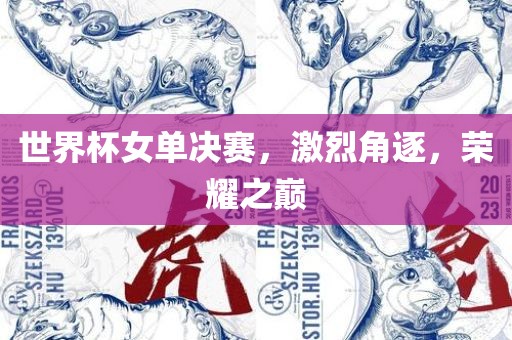 世界杯女单决赛，激烈角逐，荣耀之巅沧州禾苗留学中介服务有限公司