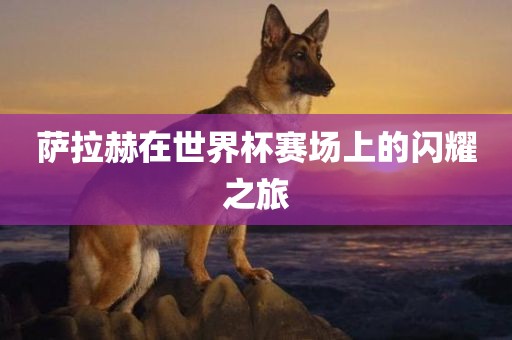 萨拉赫在世界杯赛场上的闪耀之旅沧州禾苗留学中介服务有限公司