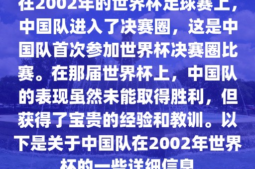 在2002年的世界杯足球赛上，中国队进入了决赛圈，这是中国队首次参加世界杯决赛圈比赛。在那届世界杯上，中国队的表现虽然未能取得胜利，但获得了宝贵的经验和教训。以下是关于中国队在2002年世界杯的一些详细信息