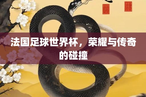 法国足球世界杯，荣耀与传奇的碰撞