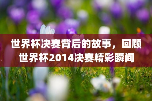 世界杯决赛背后的故事，回顾世界杯2014决赛精彩瞬间沧州禾苗留学中介服务有限公司