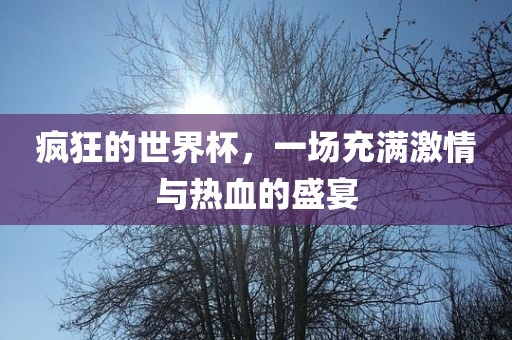 疯狂的世界杯，一场充满激情与热血的盛宴沧州禾苗留学中介服务有限公司