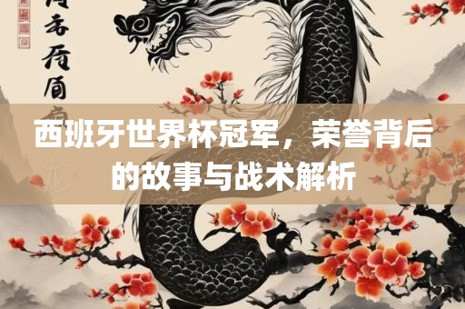西班牙世界杯冠军，荣誉背后的故事与战术解析