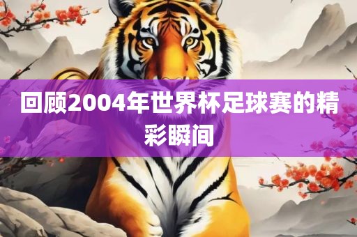 回顾2004年世界杯足球沧州禾苗留学中介服务有限公司赛的精彩瞬间