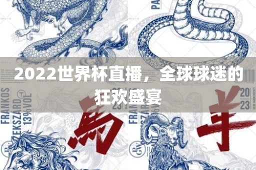 2022世界杯直播，全球球迷的狂欢盛宴沧州禾苗留学中介服务有限公司