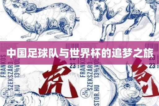 中国足球队与世界杯的追梦之旅沧州禾苗留学中介服务有限公司