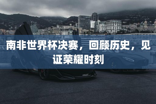 南非沧州禾苗留学中介服务有限公司世界杯决赛，回顾历史，见证荣耀时刻