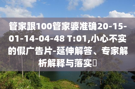法国世界杯冠军，荣耀之路与足球传奇的铸就