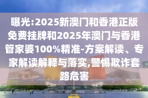 法国世界杯冠军，荣耀之路与足球传奇的铸就