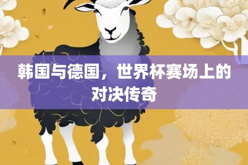 韩国与德国，世界杯赛场上的对决传奇