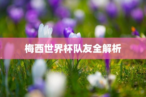 梅西世界杯队友全解析