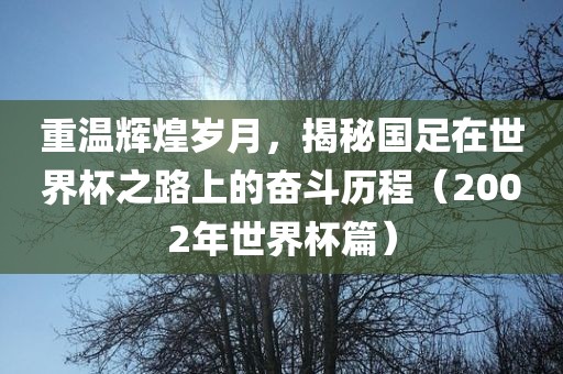 重温辉煌岁月，揭秘国足在世界杯之路上的奋斗历程（2002年世界杯篇）沧州禾苗留学中介服务有限公司