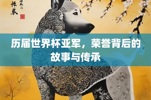 历届世界杯亚军，荣誉背后的故事与传承