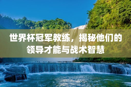 世界杯冠军教练，揭秘他们的领导才能与战术智慧