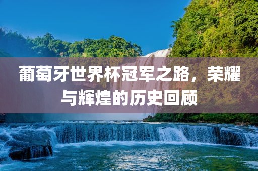 葡萄牙世界杯冠军之路，荣耀与辉煌的历史回顾沧州禾苗留学中介服务有限公司