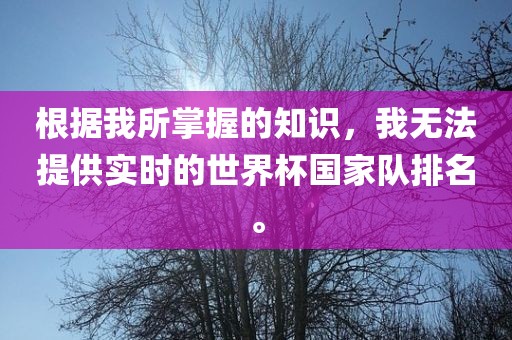 根据我所掌握的知识，我无法提供实时的世界杯国家队排名。