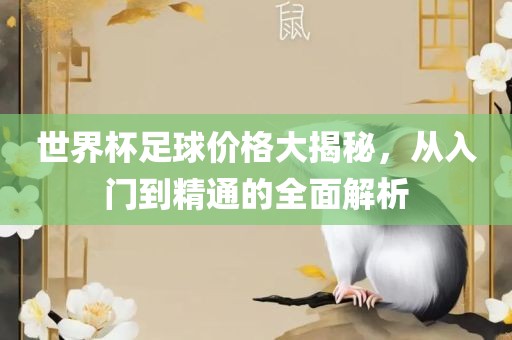 世界杯足球价格大揭秘，从入门到精通的全面解析