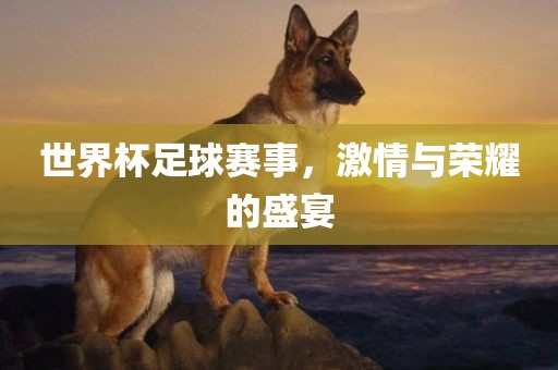 世界杯足球赛事，激情与荣耀的盛宴