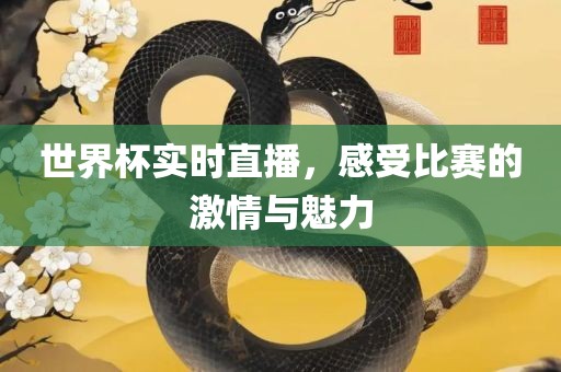 沧州禾苗留学中介服务有限公司世界杯实时直播，感受比赛的激情与魅力