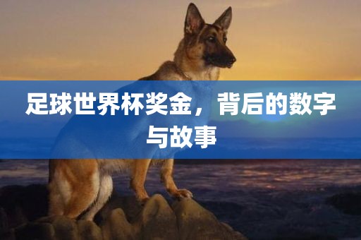 足球世界杯奖金沧州禾苗留学中介服务有限公司，背后的数字与故事