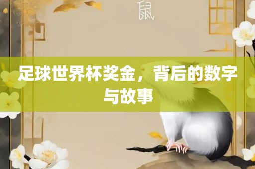 足球世界杯奖金，背后的数字与故事