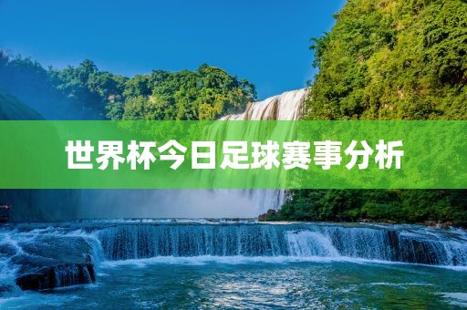 世界杯今日足球赛事分析