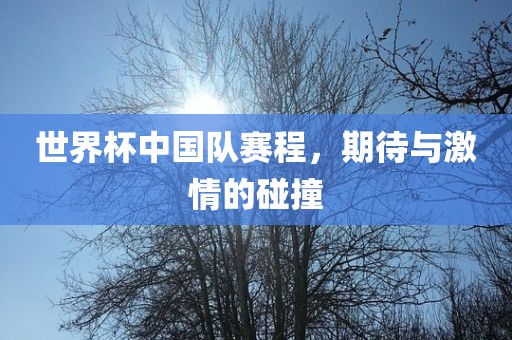 世界杯中国队赛程，沧州禾苗留学中介服务有限公司期待与激情的碰撞