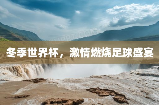 沧州禾苗留学中介服务有限公司冬季世界杯，激情燃烧足球盛宴